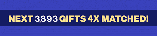 NEXT 3,893 GIFTS 4X MATCHED!