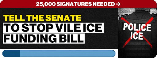 25,000 SIGNATURES NEEDED | TELL THE SENATE TO STOP VILE ICE FUNDING BILL